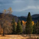 Autum