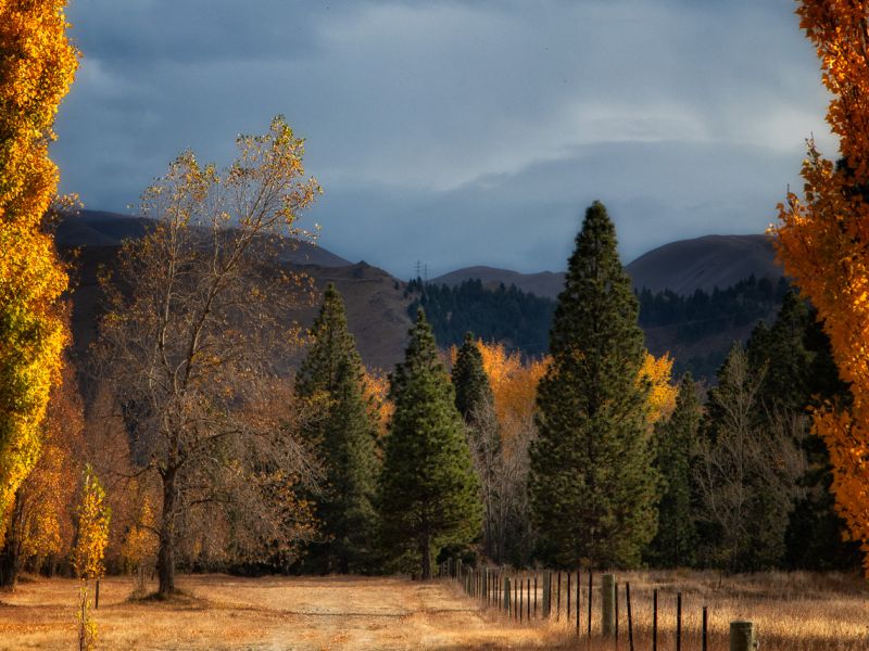 Autum