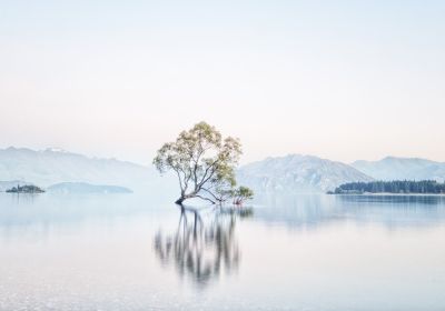Landscapes